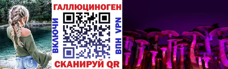Галлюциногенные грибы MAGIC MUSHROOMS  Купить  Томари 